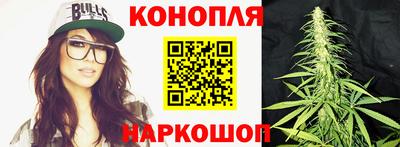 сатива Жуковский